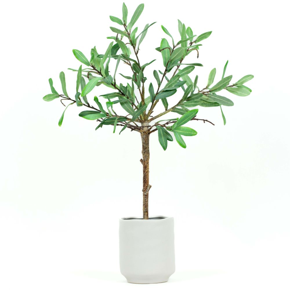 22" Ollie Olive Pottery