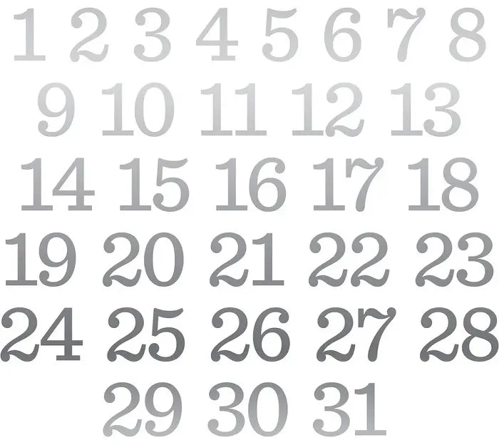 Silver Foil Decorative Numbers - Remember the Magic - Echo Park