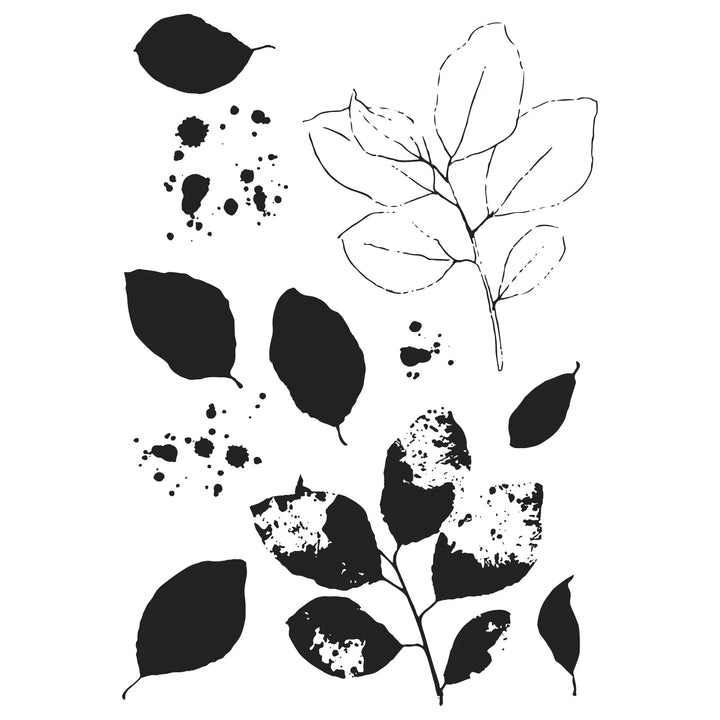Painted Pencil Leaves  A5 Clear Stamps Set 11PK w/ Framelits Die by 49 and Market - Sizzix