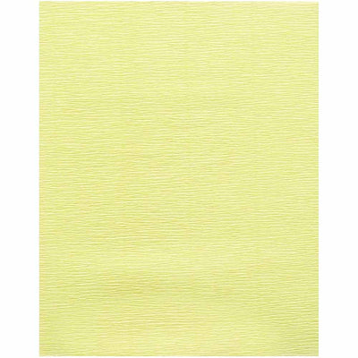 Lime Petal Tissue Paper - DCWV - Clearance
