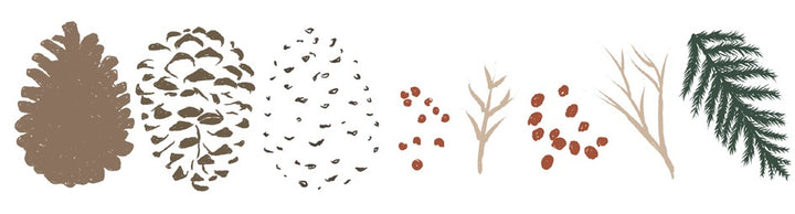 Pine Branches Layered Clear Stamps - Lisa Jones - Sizzix