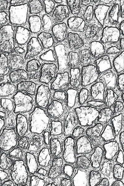 Cobblestone #2 3-D Texture Fades Embossing Folder - Tim Holtz - Sizzix
