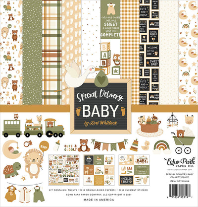 Special Delivery Baby Collection Kit - Echo Park