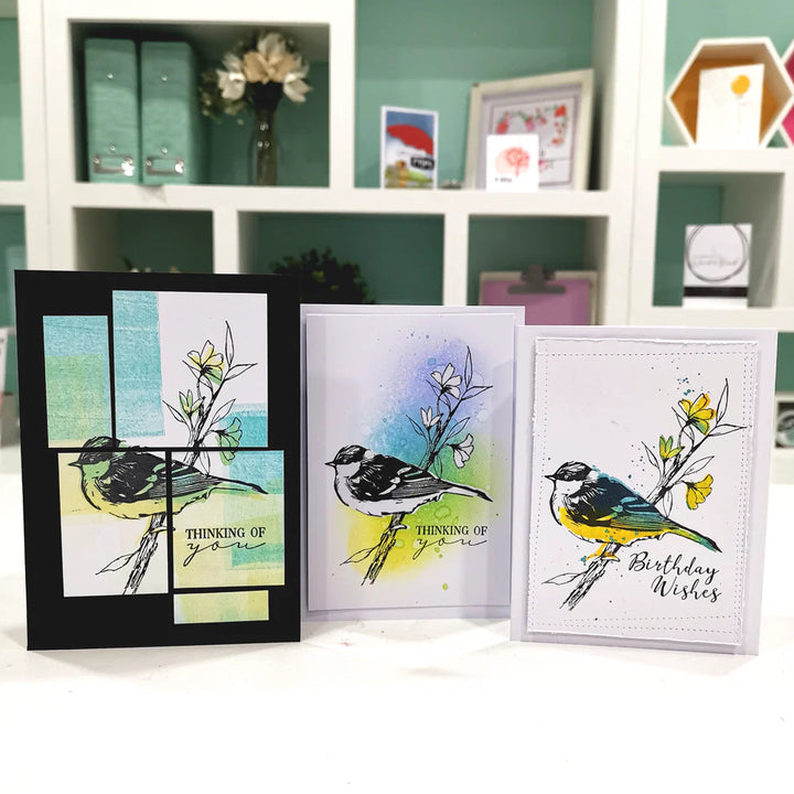 Summer Bird Layered Clear Stamps - Olivia Rose - Sizzix