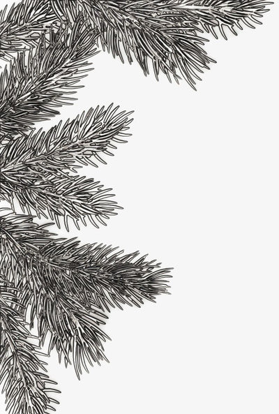 Pine Branches 3-D Texture Fade Embossing Folder - Tim Holtz - Sizzix-Clearance