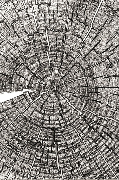 Tree Rings 3-D Texture Fades Embossing Folder - Tim Holtz - Sizzix