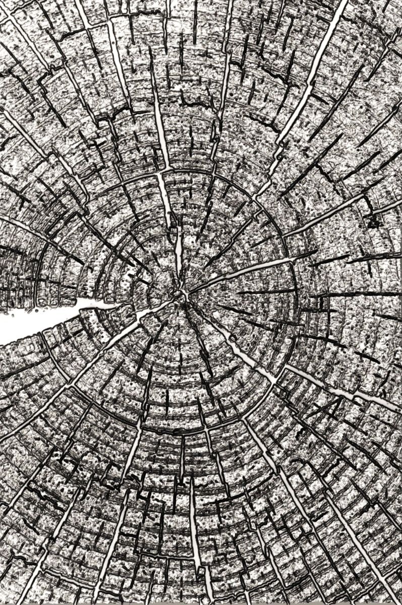 Tree Rings 3-D Texture Fades Embossing Folder - Tim Holtz - Sizzix