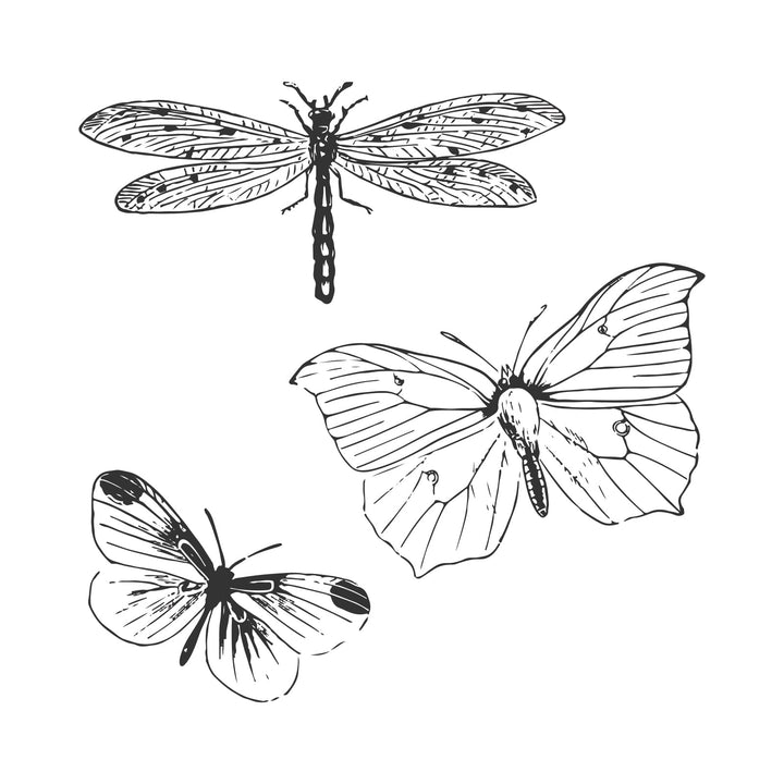 View 5 of Framelits Die Set 3PK w/3PK Stamps Engraved Wings by 49 and Market - Sizzix