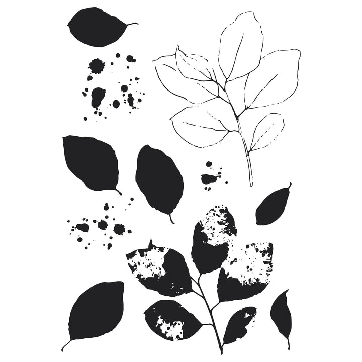 A5 Clear Stamps Set 11PK w/Framelits Die Painted Pencil Leaves by 49 and Market - Sizzix