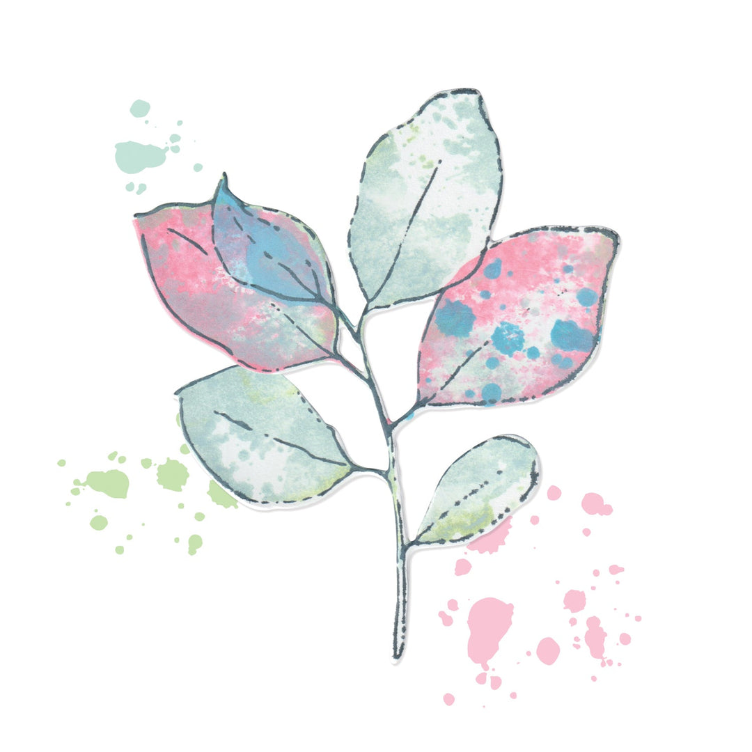 A5 Clear Stamps Set 11PK w/Framelits Die Painted Pencil Leaves by 49 and Market - Sizzix