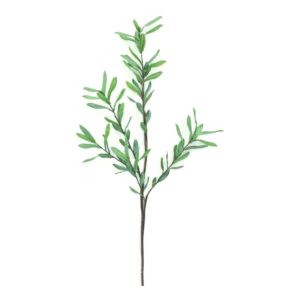 Ollie Olive Branch Decor