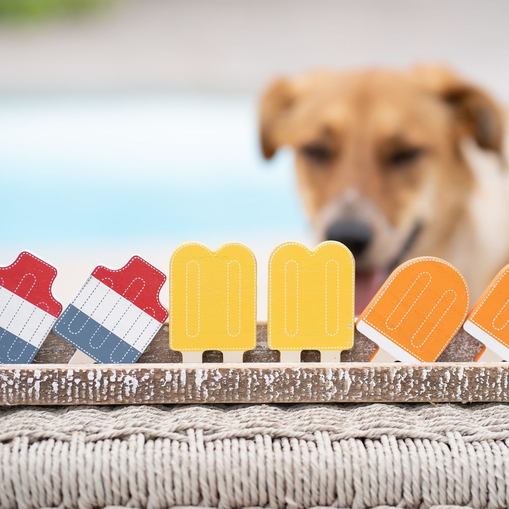 Popsicle Wood Shapes Set - Multicolor