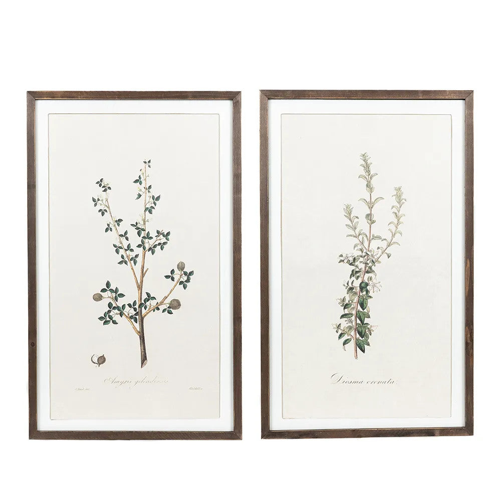 20x33 Reversible Wood Frame Sign - Gileadensis Collection