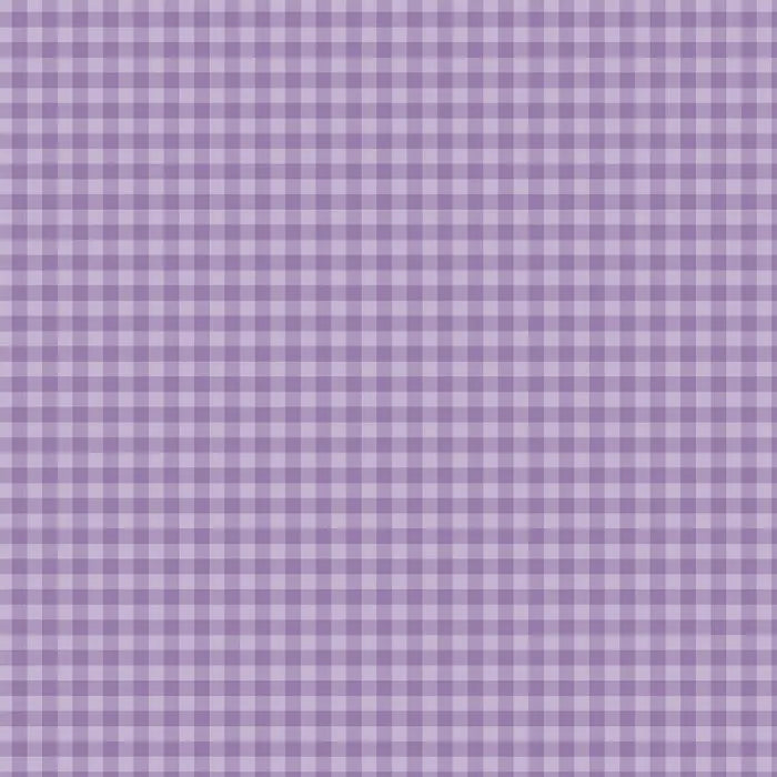View 12 of Bold Gingham 12" x 12" Collection Kit - Echo Park