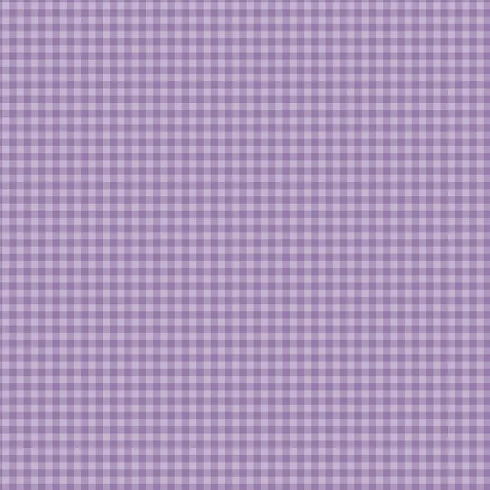View 13 of Bold Gingham 12" x 12" Collection Kit - Echo Park
