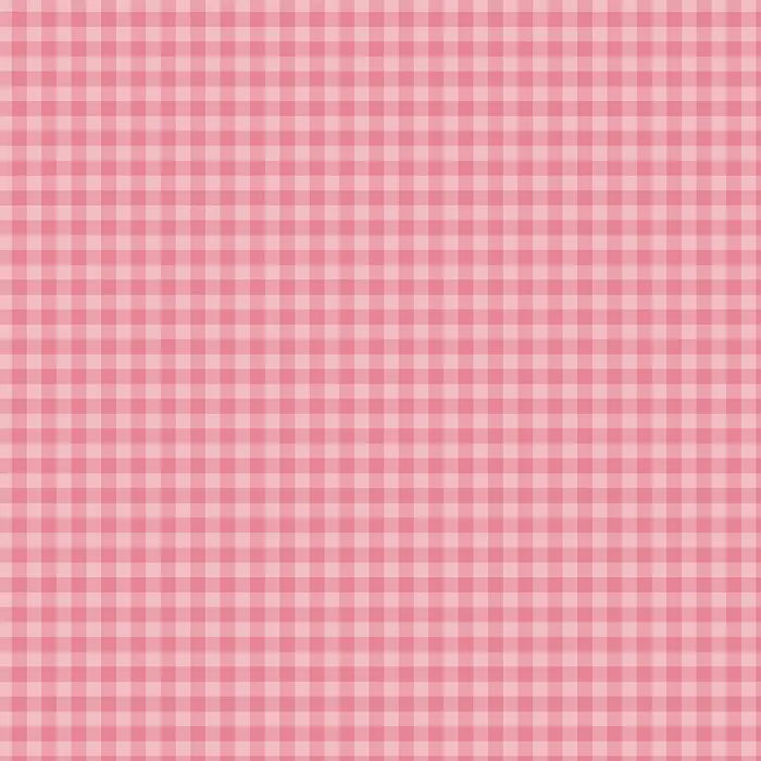 View 4 of Bold Gingham 12" x 12" Collection Kit - Echo Park