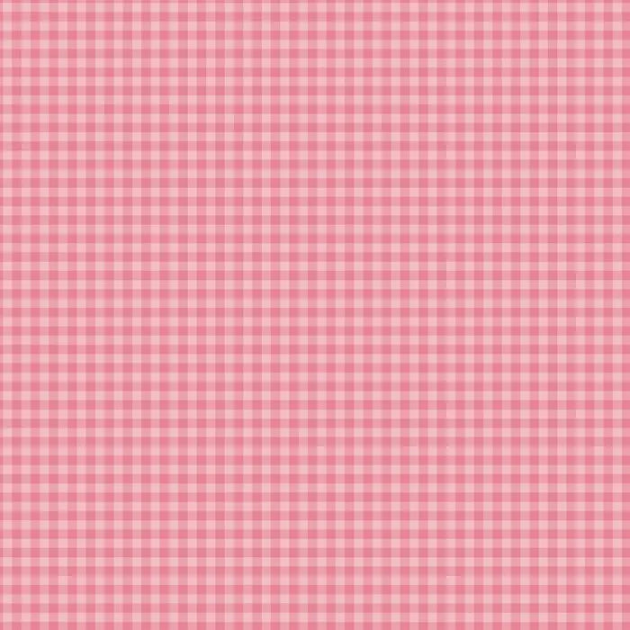 View 5 of Bold Gingham 12" x 12" Collection Kit - Echo Park
