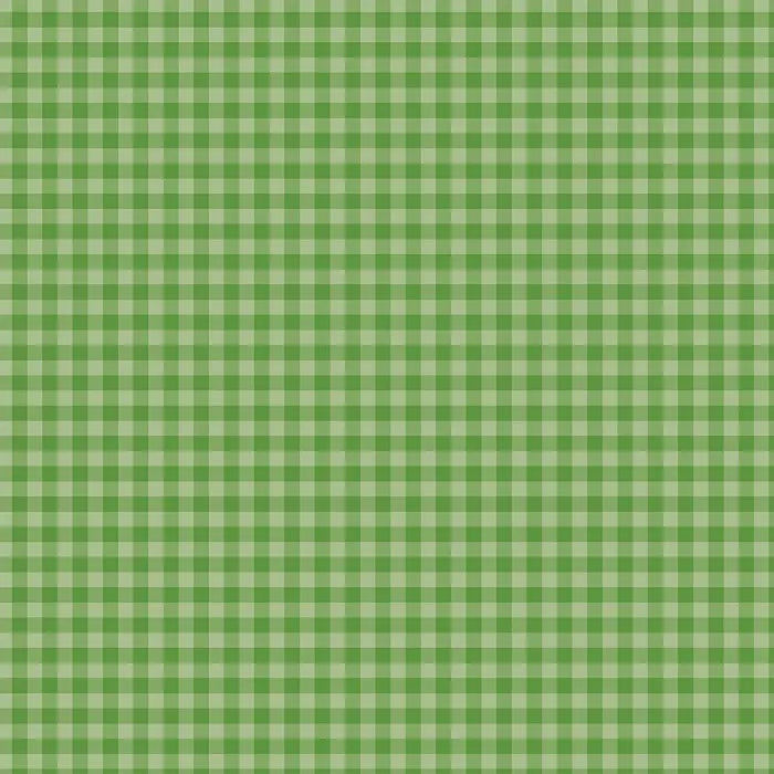 View 8 of Bold Gingham 12" x 12" Collection Kit - Echo Park