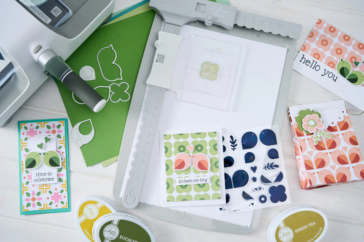 Print & Pattern Birds & Blooms #1 Clear Stamp Set(15 pack) by Catherine Pooler - Sizzix