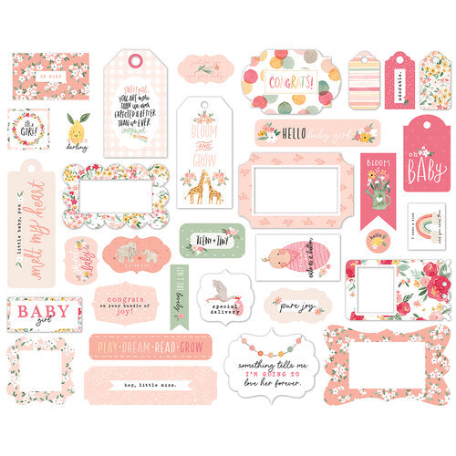 Welcome Baby Girl Frames & Tags - Echo Park - Clearance
