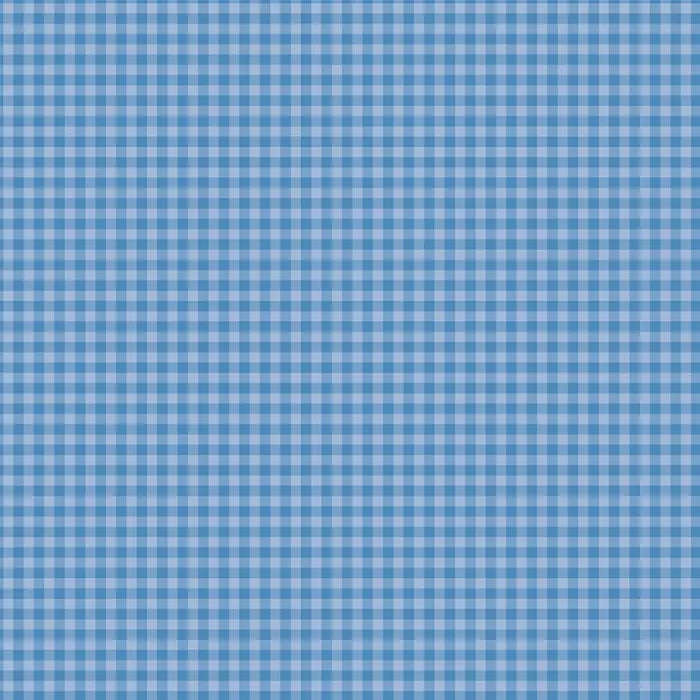Bold Gingham 12" x 12" Collection Kit - Echo Park