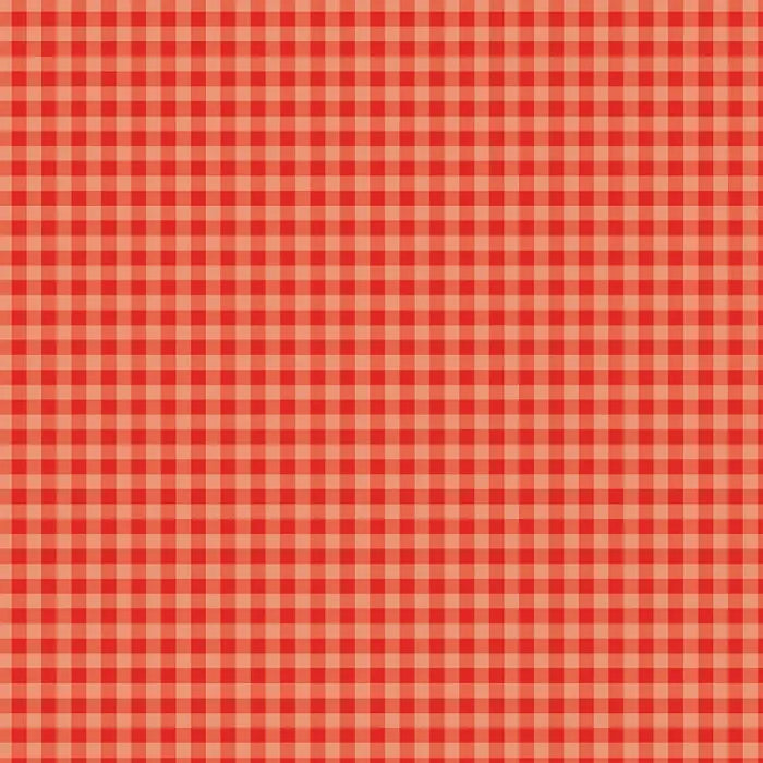 Bold Gingham 12" x 12" Collection Kit - Echo Park