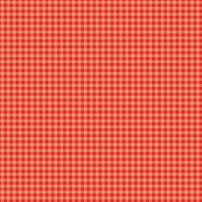 Bold Gingham 12" x 12" Collection Kit - Echo Park