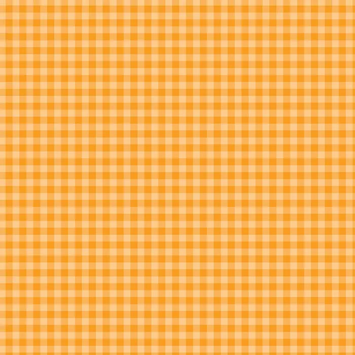 Bold Gingham 12" x 12" Collection Kit - Echo Park