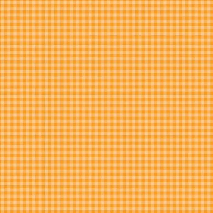 Bold Gingham 12" x 12" Collection Kit - Echo Park