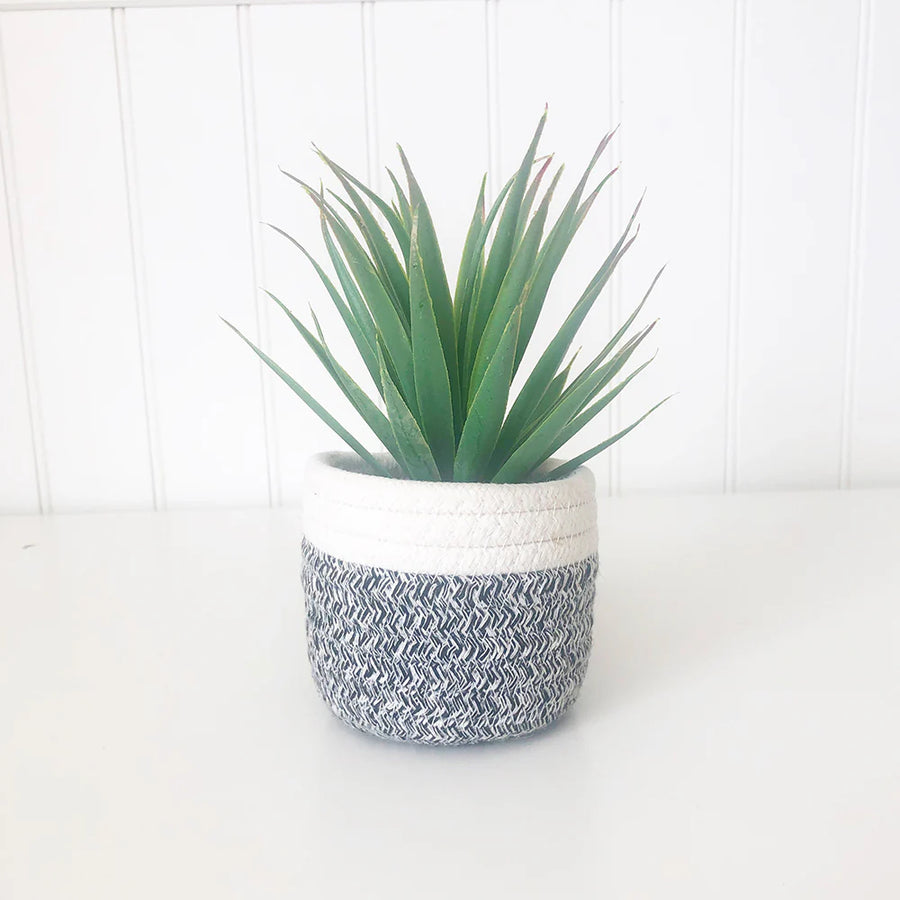 Fabric Pot Succulent - Tabletop Decor - Foundations Decor