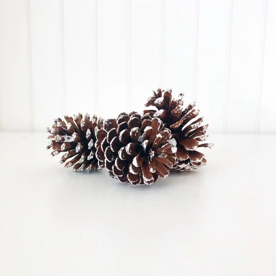Frosted Pine Cones - Tiered Tray Decor - Foundations Decor