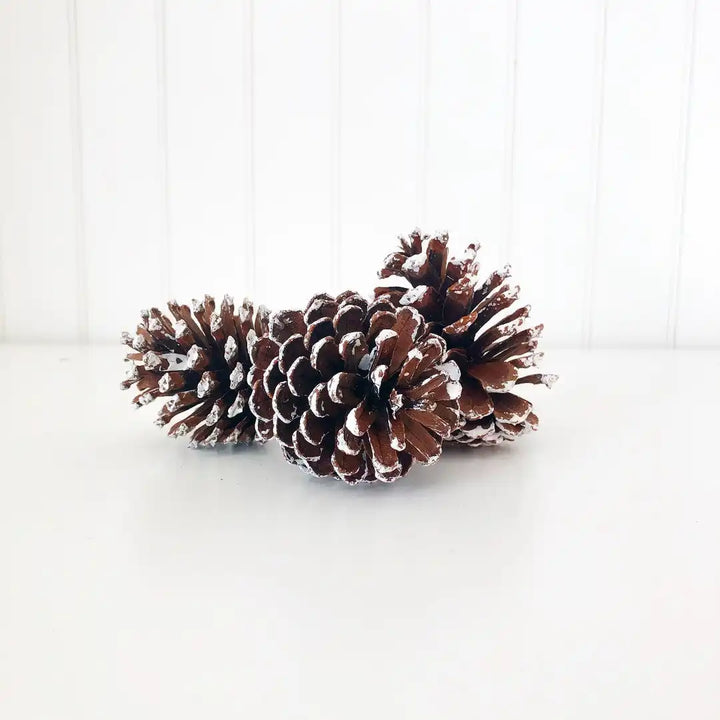 Frosted Pine Cones - Tiered Tray Decor - Foundations Decor