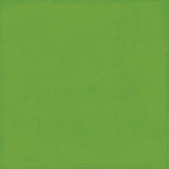 Ghosts And Goblins Solids Paper Kit, 12" x 12" - Echo Park