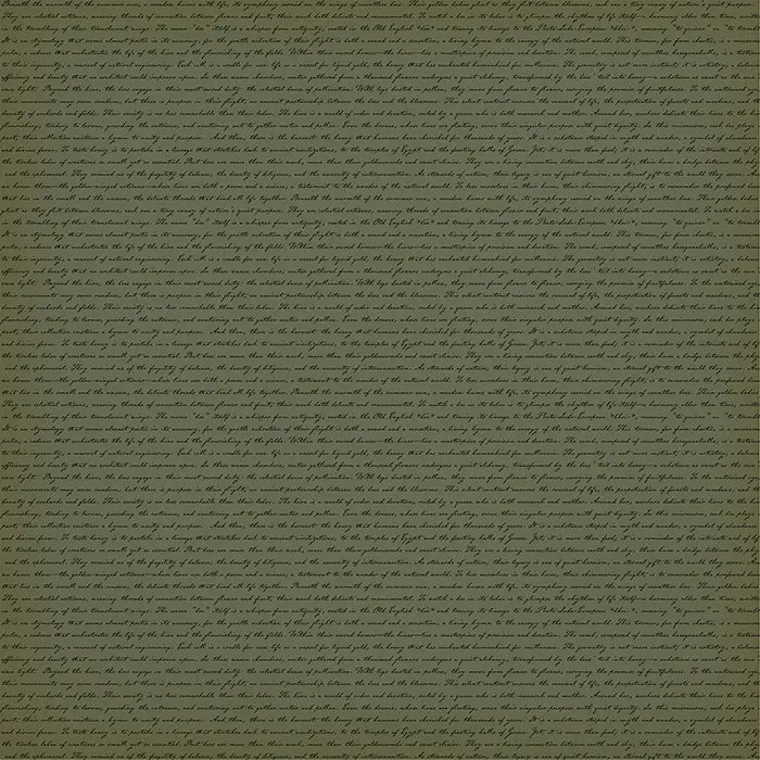 Honey Bee Scrapbook Collection Kit, 12" x 12" - Carta Bella