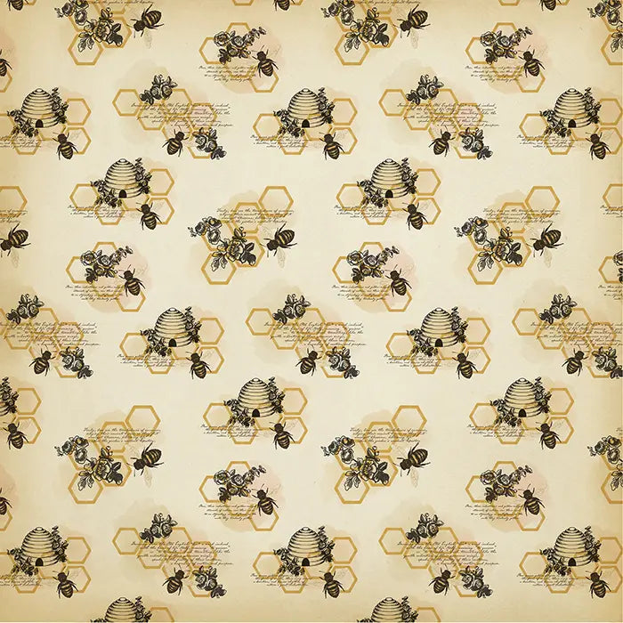 Honey Bee Scrapbook Collection Kit, 12" x 12" - Carta Bella
