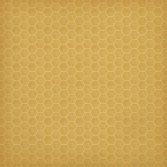 Honey Bee Scrapbook Collection Kit, 12" x 12" - Carta Bella