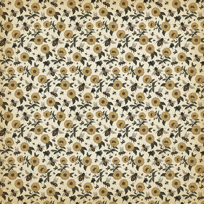 Honey Bee Scrapbook Collection Kit, 12" x 12" - Carta Bella