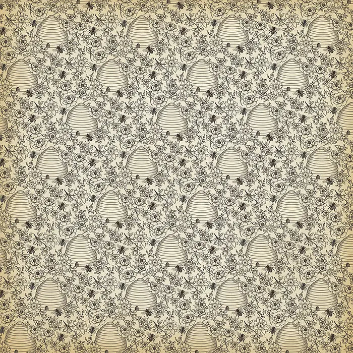 Honey Bee Scrapbook Collection Kit, 12" x 12" - Carta Bella