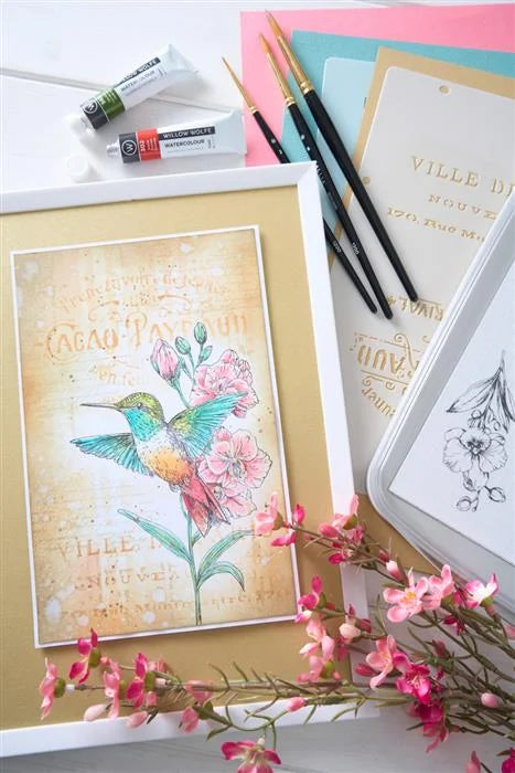 Hummingbird and Orchids Studio Clear Stamp Set (3 pack) w/ Stencils (3 pack) by Willow Wolfe - Sizzix