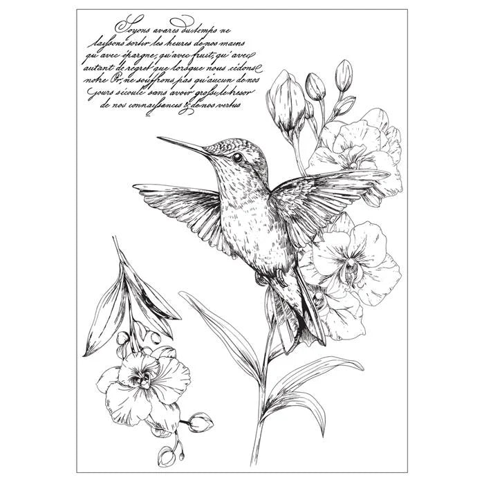 Hummingbird and Orchids Studio Clear Stamp Set (3 pack) w/ Stencils (3 pack) by Willow Wolfe - Sizzix