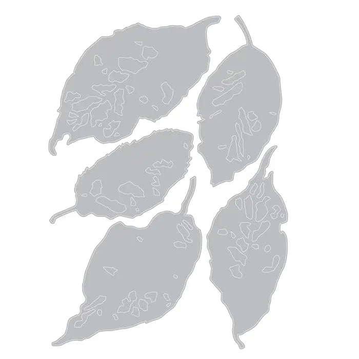Leaf Fragments Thinlits Die Set - Tim Holtz - Sizzix