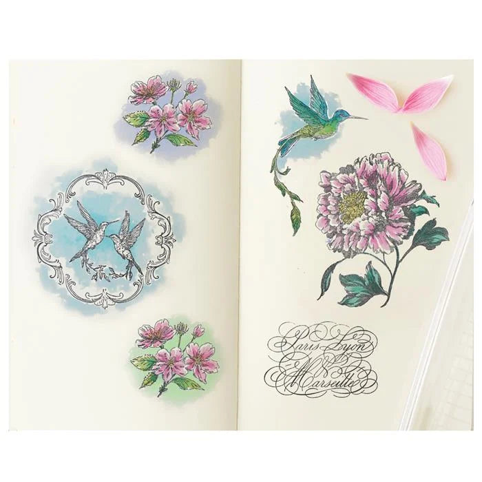 Ornamental Medallions Studio Clear Stamp Set, 5" x 8" (7 pack) by Willow Wolfe - Sizzix