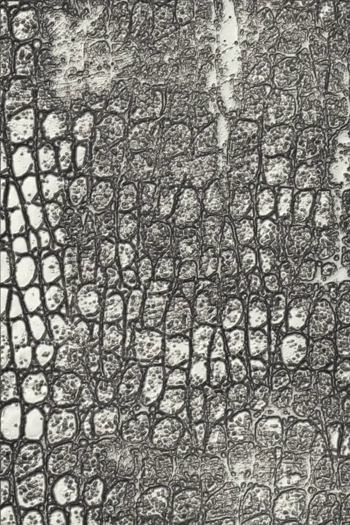 Reptile 3-D Texture Fades Emboss Folder -Tim Holtz- Sizzix