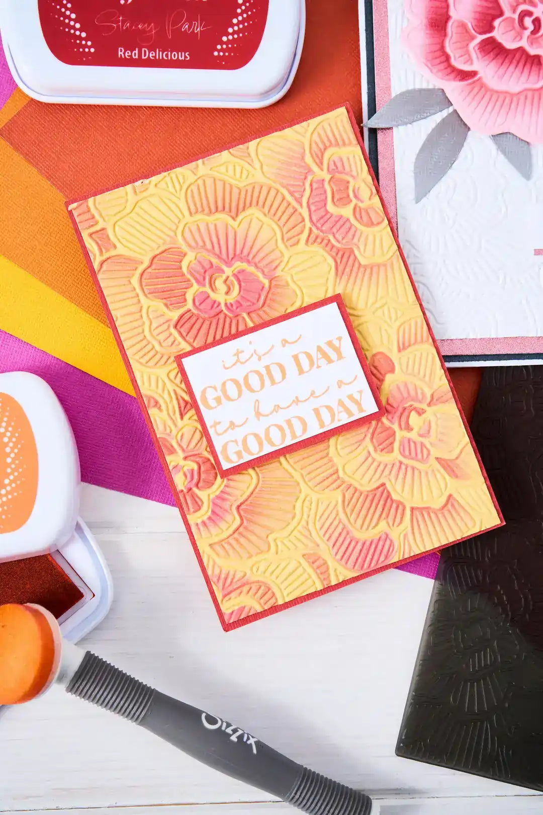 Sunday in the Park 3-D Textured Impressions Embossing Folder - Cosmopolitan - Stacey Park - Sizzix