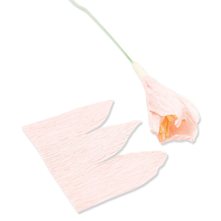 Garden Rose Thinlits Die Set - Jess Slack - Sizzix