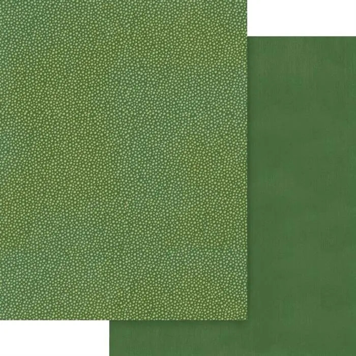 Wonder of Oz Patterns & Solids Paper Pack, 8.5" x 11" - Graphic 45