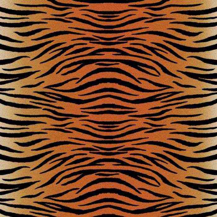 Animal Infusible Ink Transfer Sheet Patterns - Cricut - Clearance