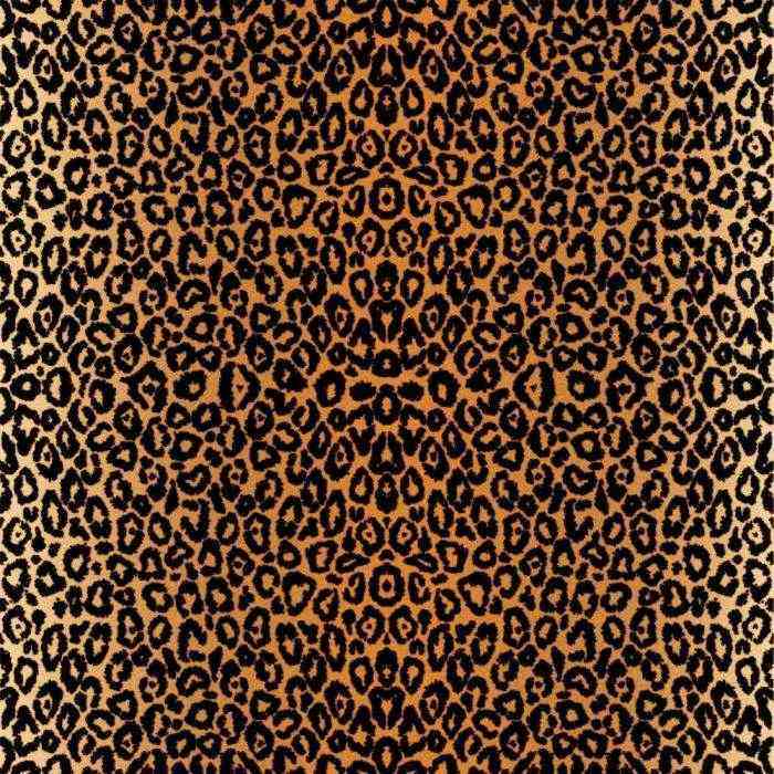 Leopard Infusible Ink Transfer Sheet Patterns - Cricut