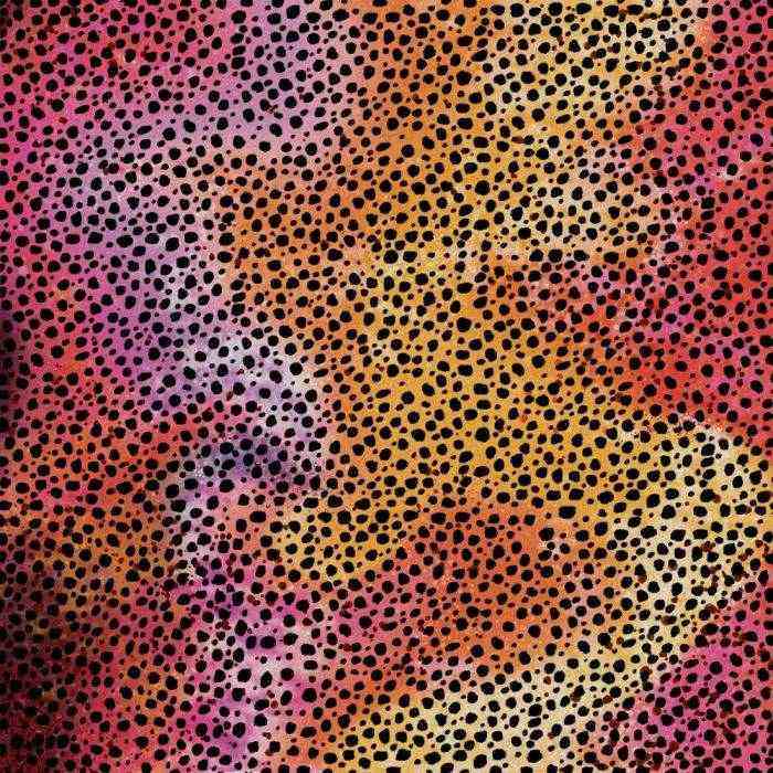Rainbow Cheetah Infusible Ink Transfer Sheet Patterns - Cricut