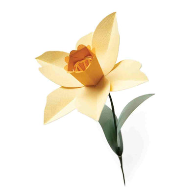 Daffodil Bigz L Die - Olivia Rose - Sizzix - Clearance